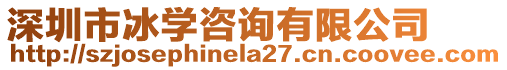 深圳市冰學咨詢有限公司
