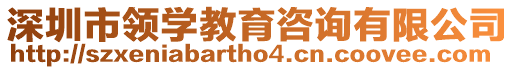 深圳市領學教育咨詢有限公司