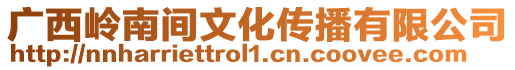 廣西嶺南間文化傳播有限公司