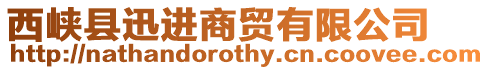 西峽縣迅進商貿有限公司