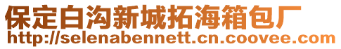 保定白溝新城拓海箱包廠