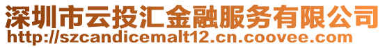 深圳市云投匯金融服務(wù)有限公司