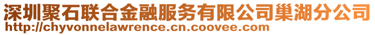 深圳聚石聯(lián)合金融服務(wù)有限公司巢湖分公司