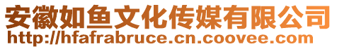 安徽如魚文化傳媒有限公司