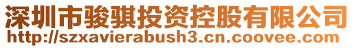 深圳市駿騏投資控股有限公司