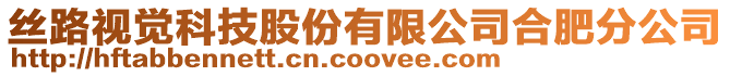 絲路視覺科技股份有限公司合肥分公司