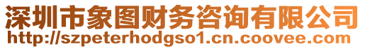 深圳市象圖財務(wù)咨詢有限公司