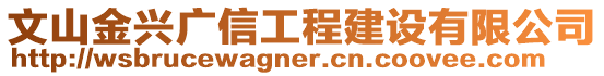文山金興廣信工程建設有限公司