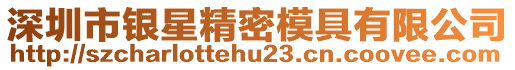 深圳市銀星精密模具有限公司