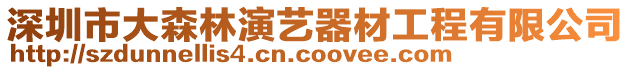 深圳市大森林演藝器材工程有限公司