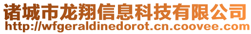 諸城市龍翔信息科技有限公司