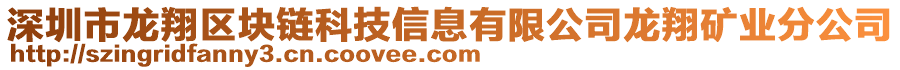 深圳市龍翔區(qū)塊鏈科技信息有限公司龍翔礦業(yè)分公司