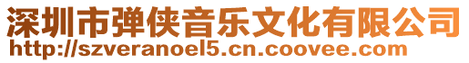 深圳市彈俠音樂文化有限公司