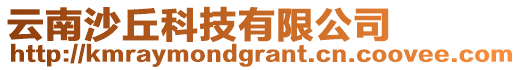 云南沙丘科技有限公司