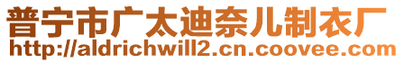 普寧市廣太迪奈兒制衣廠