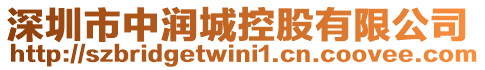 深圳市中潤城控股有限公司