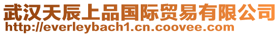 武漢天辰上品國際貿易有限公司
