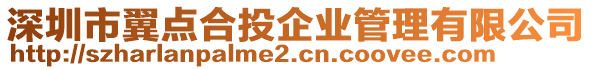 深圳市翼點合投企業管理有限公司