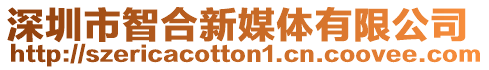 深圳市智合新媒體有限公司
