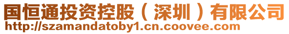 國恒通投資控股(深圳)有限公司