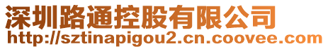深圳路通控股有限公司