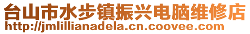 臺山市水步鎮振興電腦維修店