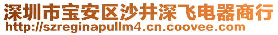 深圳市寶安區(qū)沙井深飛電器商行