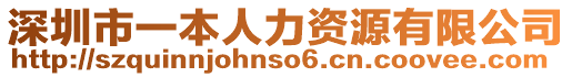 深圳市一本人力資源有限公司