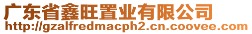 廣東省鑫旺置業有限公司
