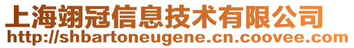 上海翊冠信息技術有限公司