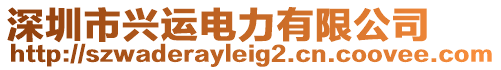 深圳市興運電力有限公司