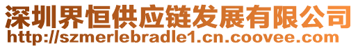 深圳界恒供應鏈發展有限公司