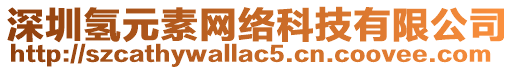 深圳氫元素網絡科技有限公司