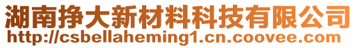 湖南掙大新材料科技有限公司