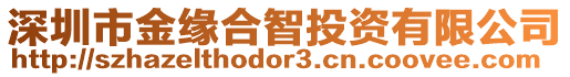 深圳市金緣合智投資有限公司