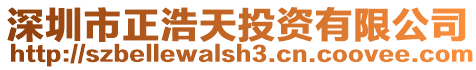 深圳市正浩天投資有限公司