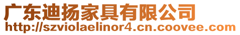 廣東迪揚家具有限公司