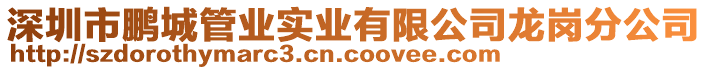 深圳市鵬城管業實業有限公司龍崗分公司