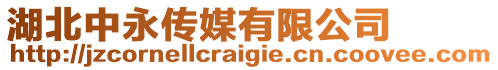 湖北中永傳媒有限公司