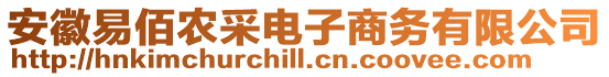 安徽易佰農采電子商務有限公司
