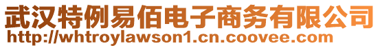 武漢特例易佰電子商務(wù)有限公司