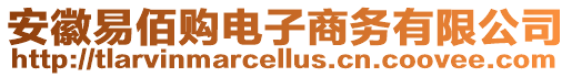 安徽易佰購電子商務有限公司