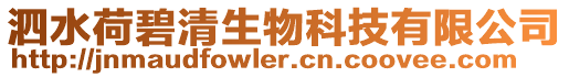 泗水荷碧清生物科技有限公司