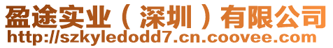 盈途實業（深圳）有限公司