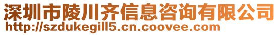 深圳市陵川齊信息咨詢有限公司