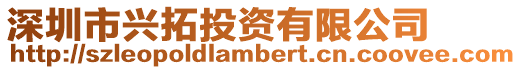 深圳市興拓投資有限公司