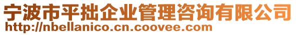 宁波市平拙企业管理咨询有限公司