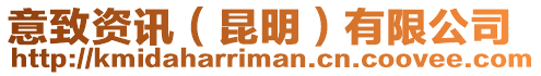 意致資訊(昆明)有限公司