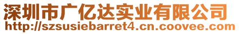 深圳市廣億達實業有限公司