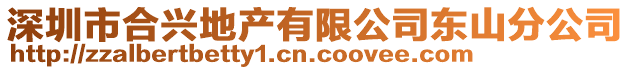 深圳市合興地產(chǎn)有限公司東山分公司